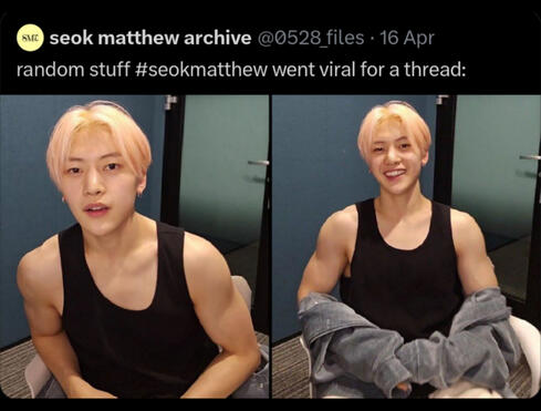 RANDOM STUFF #SEOKMATTHEW WENT VIRAL...